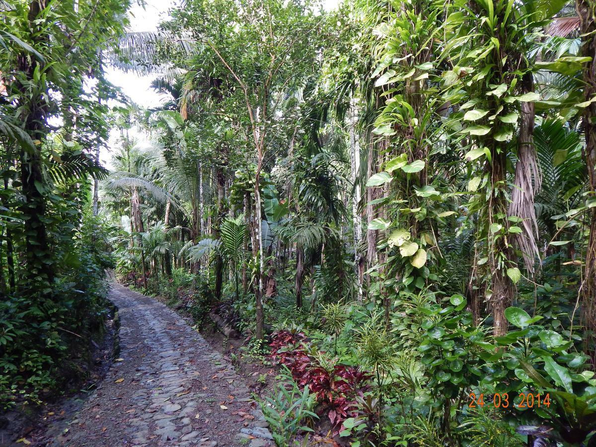 Esa Bay View Hotel Colonia Luaran gambar